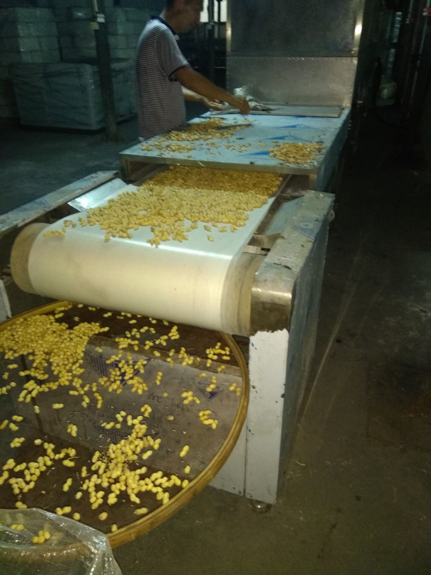 農副產品微波干燥殺菌機